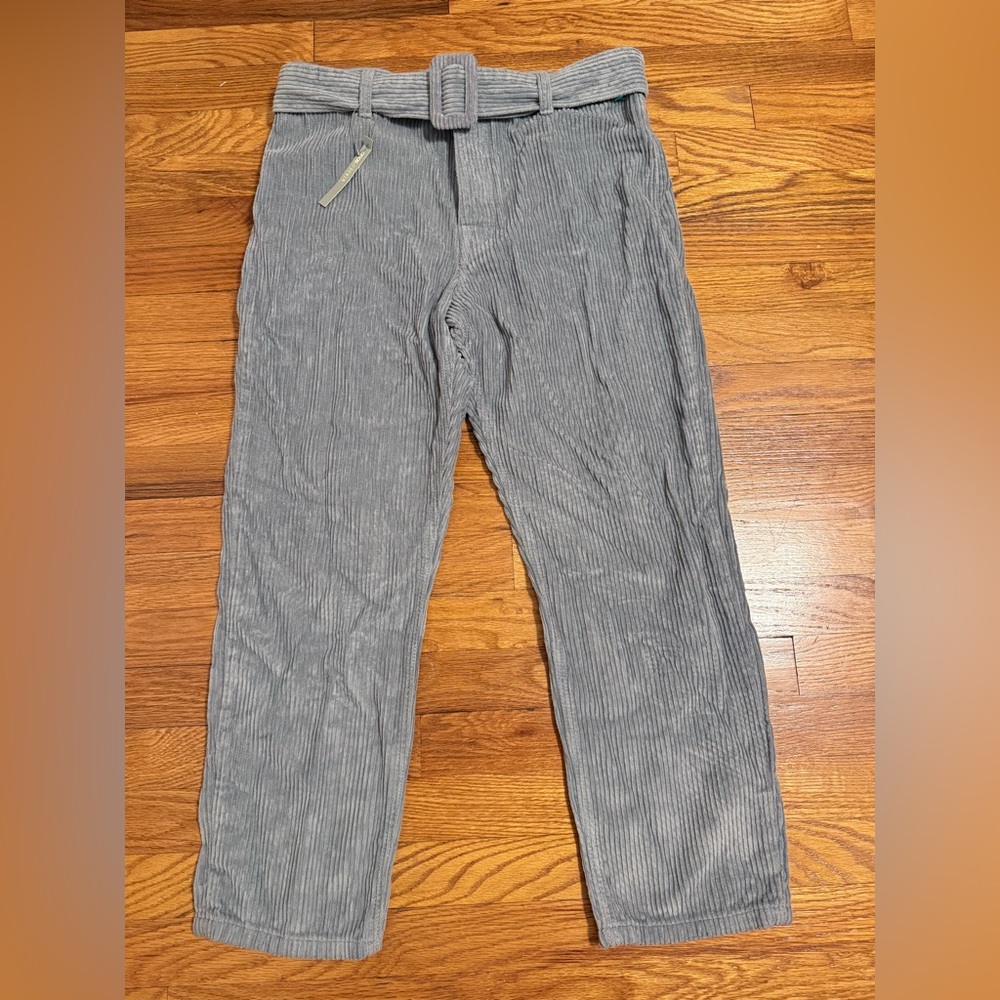 Brand New ASOS Denim Sage Button Fly Corduroy Pants 30 x 32